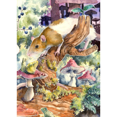 Print - Rat Sniffing a Snail